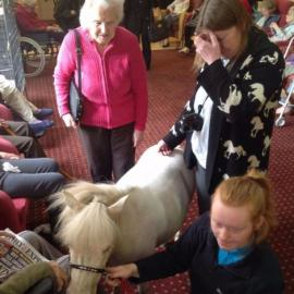 Scarbrough Court residents meet Blondie the pony