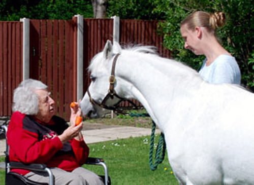 Resident Chris Ingleby (left) feeds Rosie with a carrot, with Faye looking on.