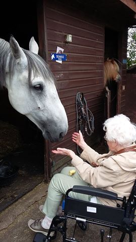 Tithebarn residents enjoy day trip to Bowlers Riding School