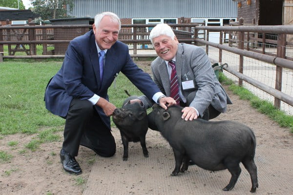 Kevin Dickens and Colin Ross with two very friendly pigs