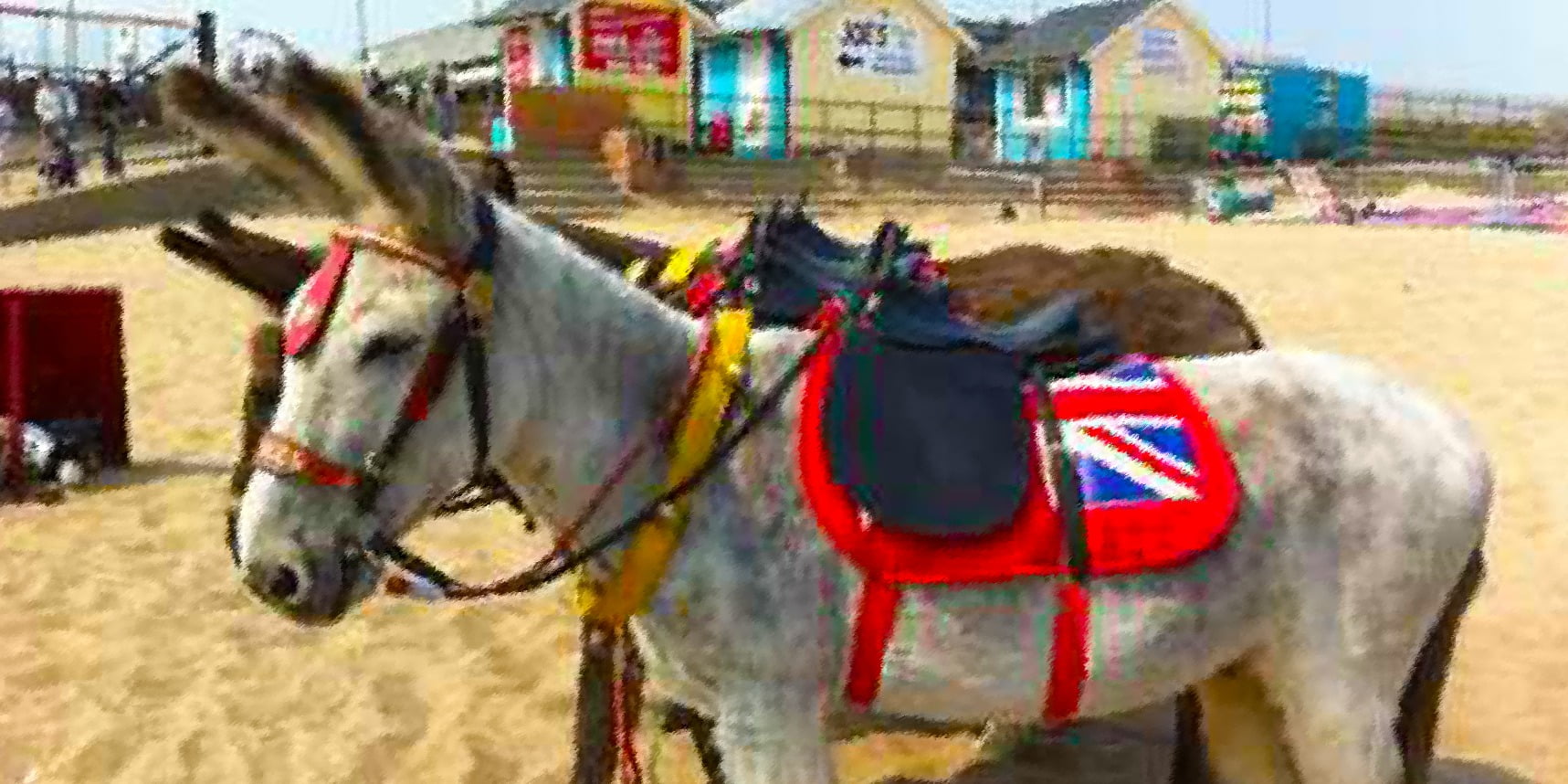 Derbyshire Freemason answer the call!