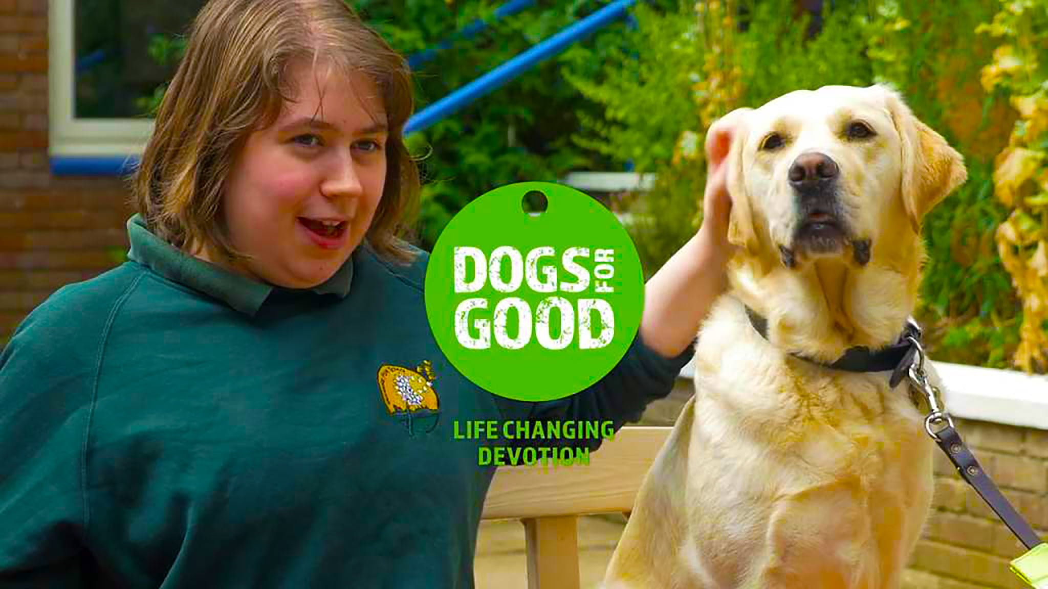 The Dogs for Good Annual Fun Day   Stoneleigh Park