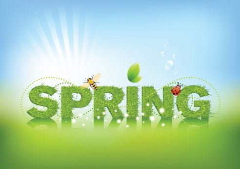 Freemasons Ladies Spring Lunch