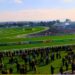 Horse Racing