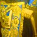 Masonic Apron Grand Master