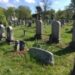 7d659f66e9fff5b568aadaf4f429ea6c